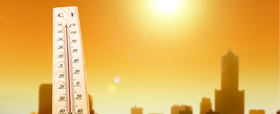 david jones hogl shoes