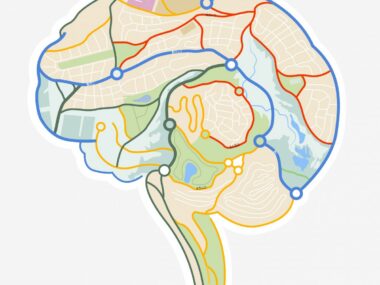 World Brain Day 2016