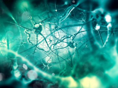 astilbin study