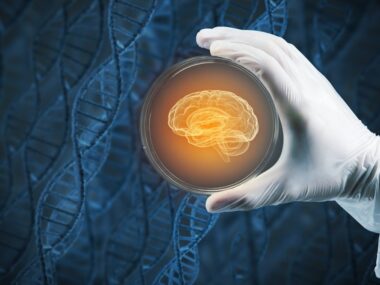 mesenchymal stem cells