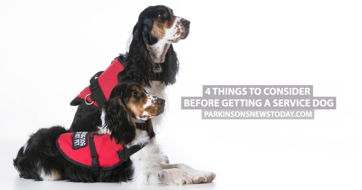 4 Things to Consider Before Getting a Service Dog Parkinson's News Today