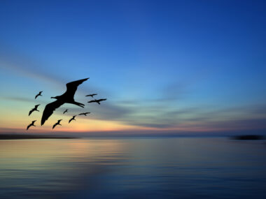 column, perspective, shared advice, strength