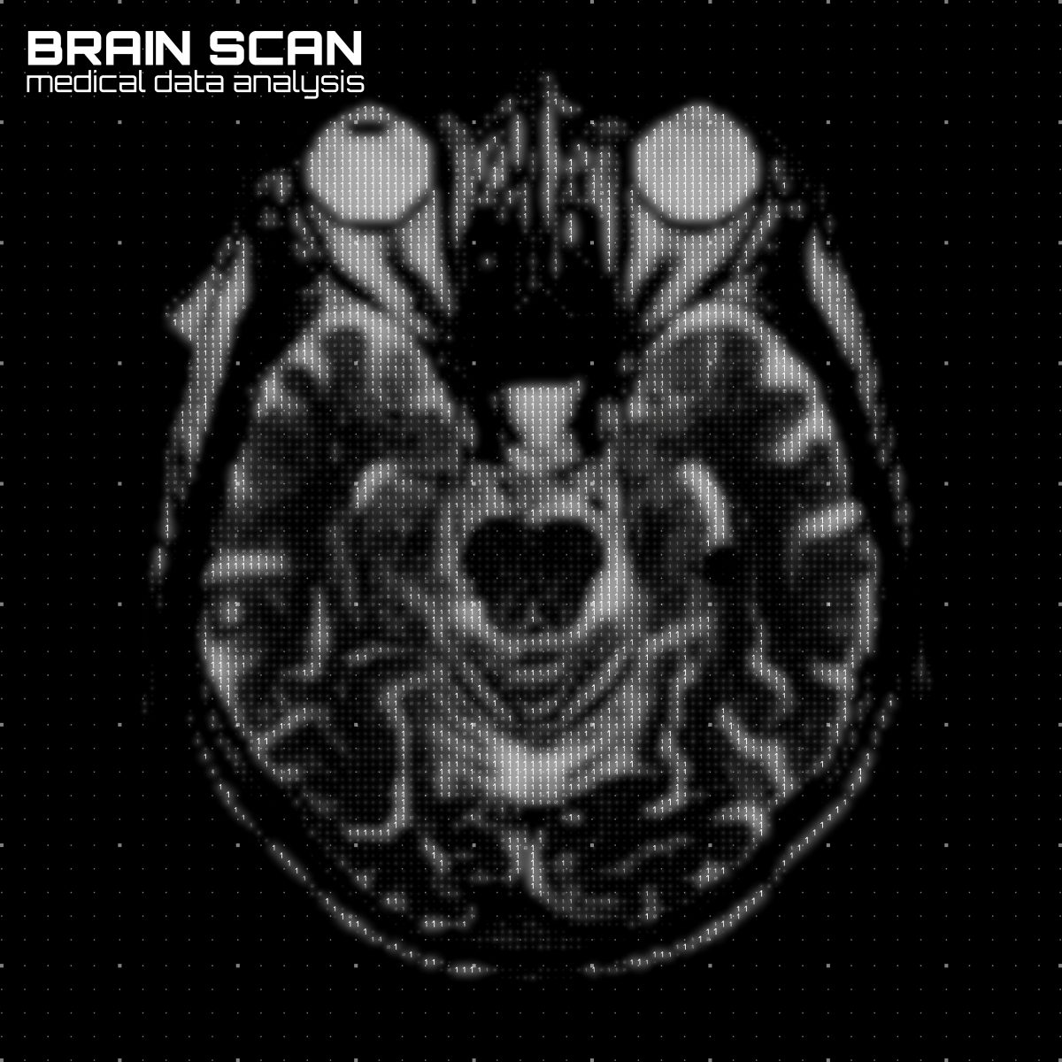 brain imaging