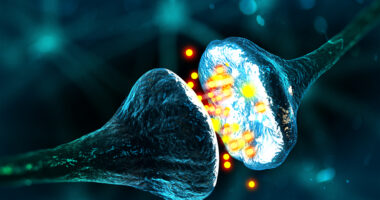 Imaging agent for synapses