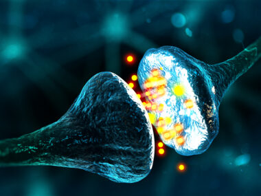 Imaging agent for synapses