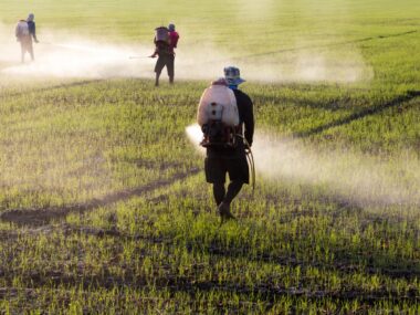 pesticides and herbicides