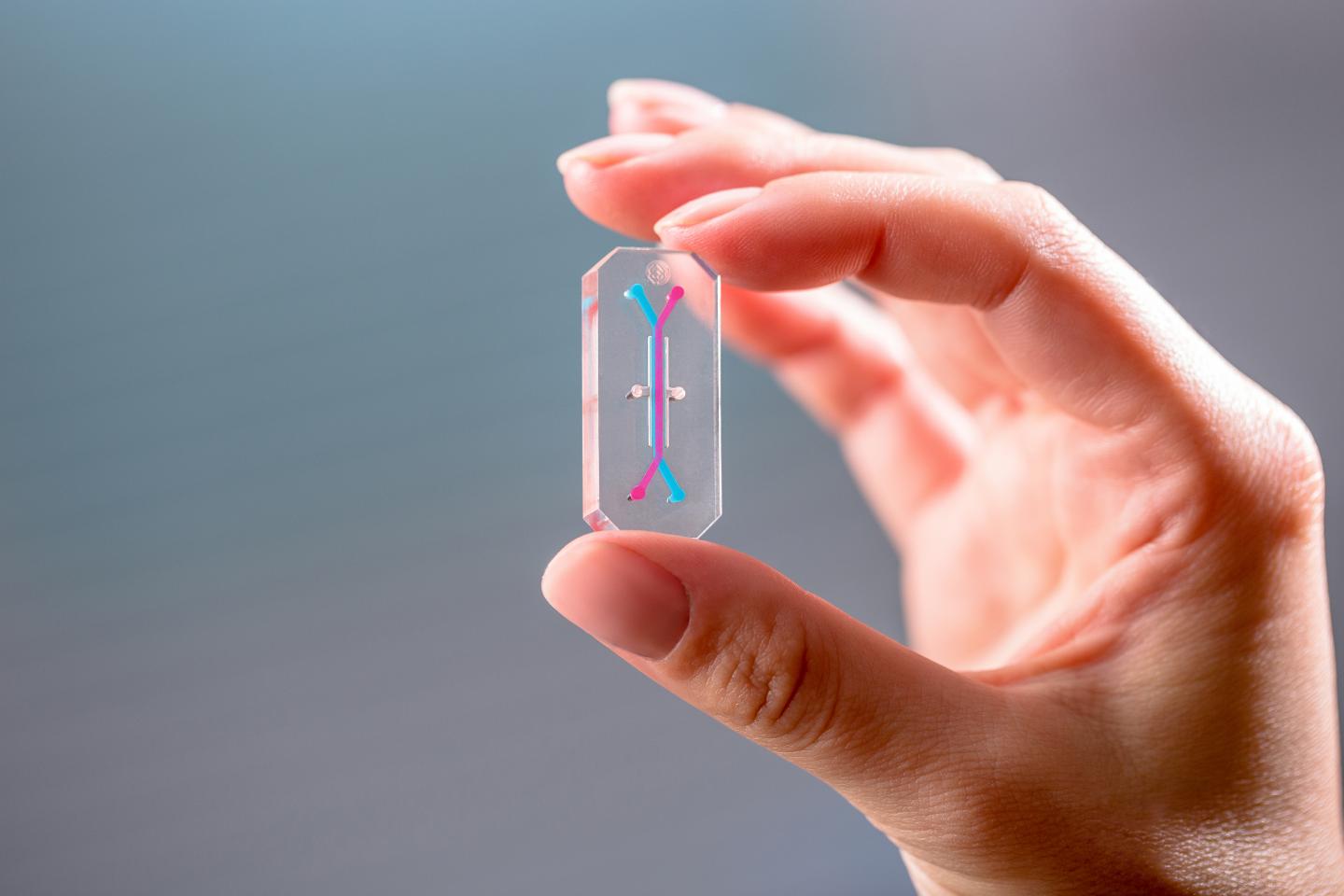 patient-on-a-chip