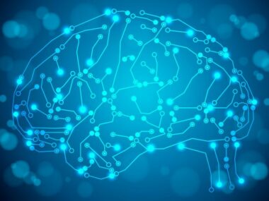nerve cell communication