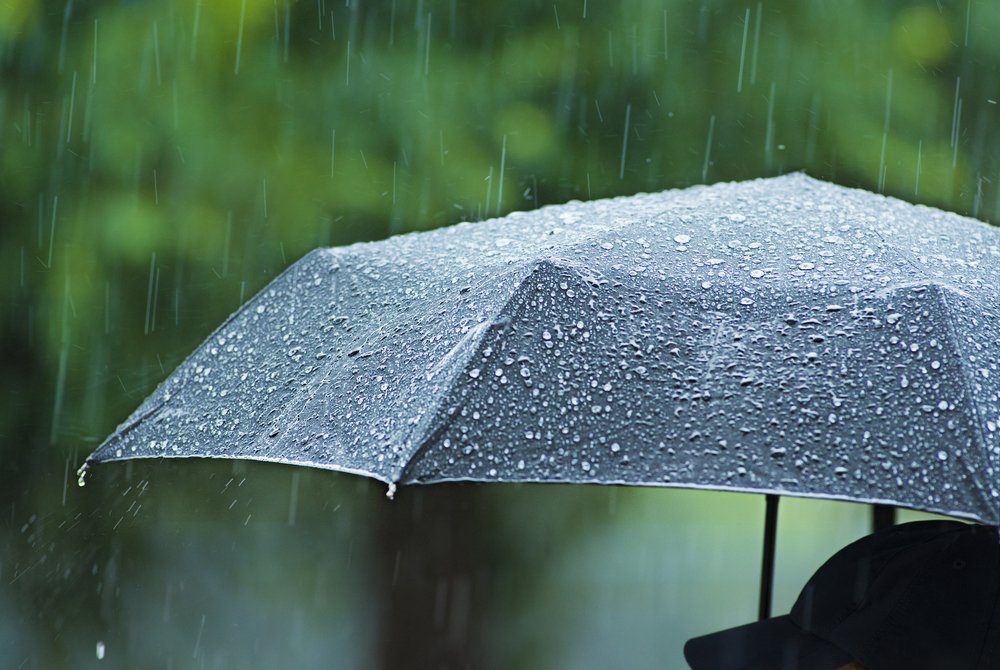 When The Rain Falls And Hope Is Renewed Parkinsons News Today - 