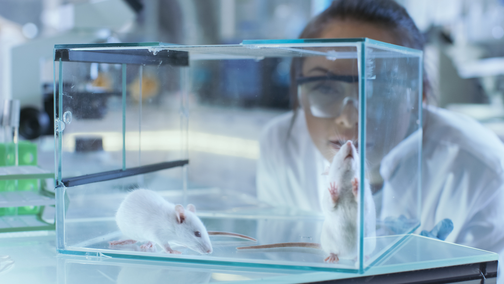 melatonin | Parkinson's News Today | Mouse Study | Scientist working with mice in laboratory