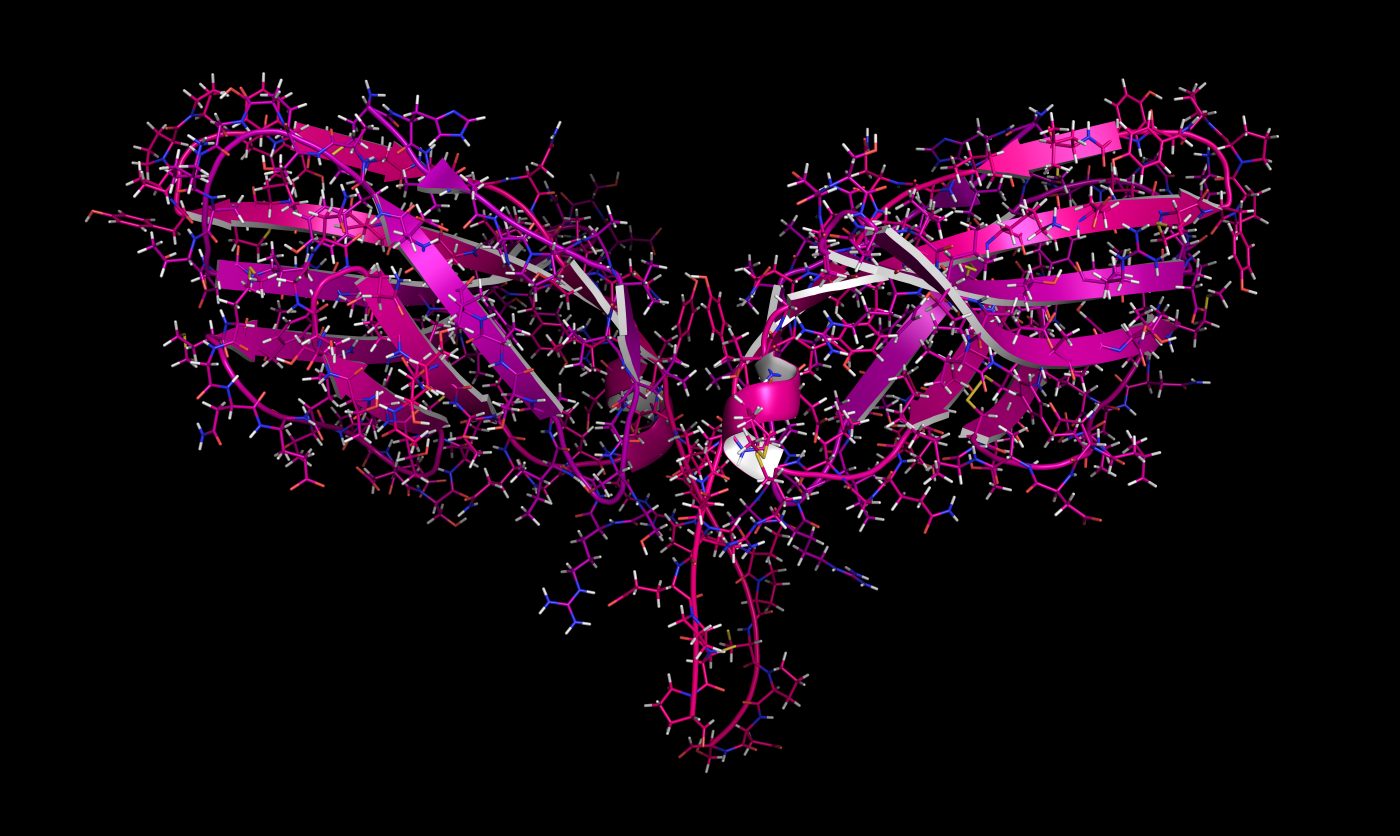 APOE Gene Variants