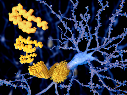 alpha-synuclein, AS69