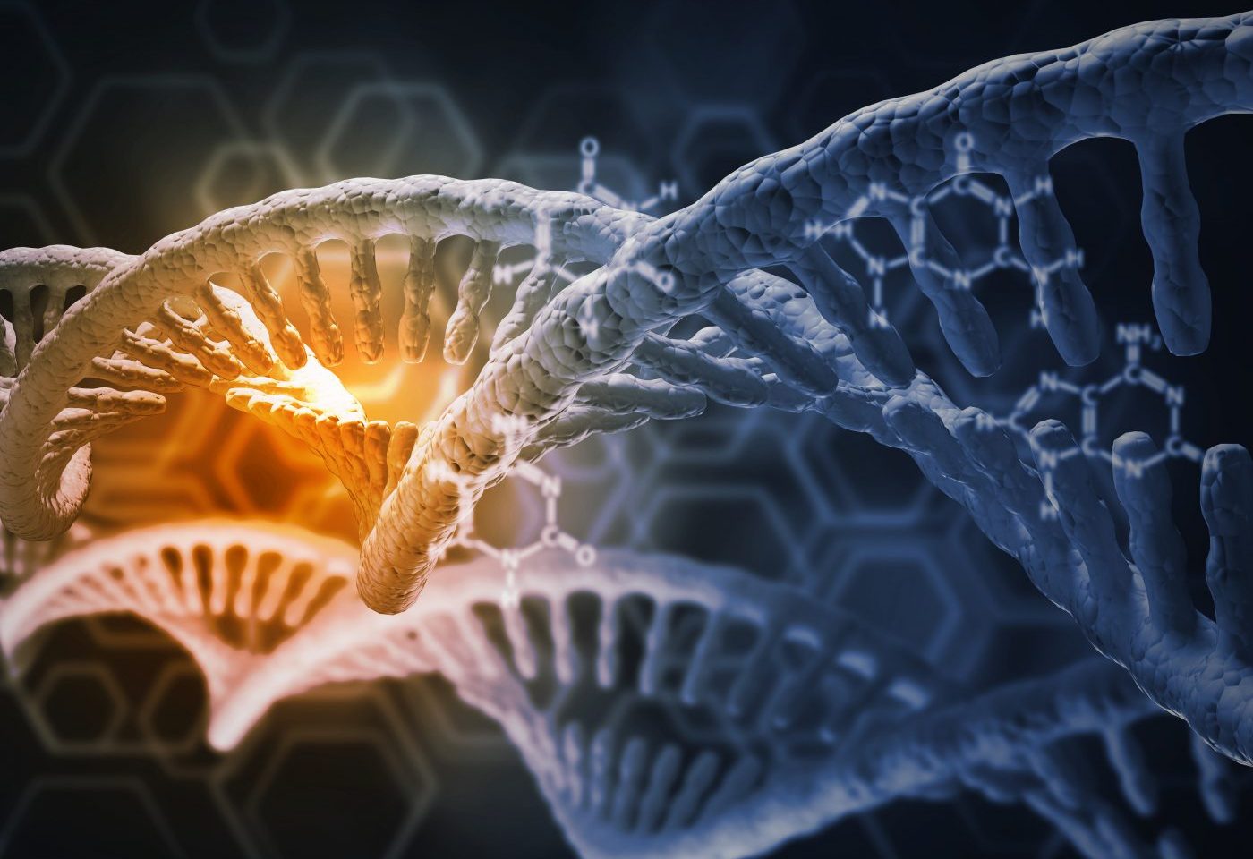 Biogen, Sangamo to Develop Novel Gene Therapies