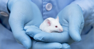 antioxidant nanozyme