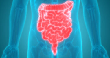 gut microbiome study, Parkinson's