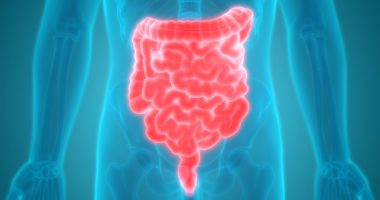 gut microbiome study, Parkinson's