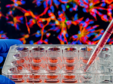 brain injury and disease