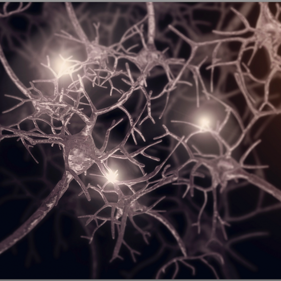 https://parkinsonsnewstoday.com/wp-content/uploads/2019/12/Synapses-neuron-hippocampus-plasticity_QBI-brain-physiology-550x550.png