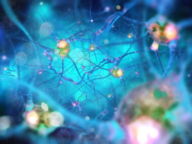 alpha-synuclein study