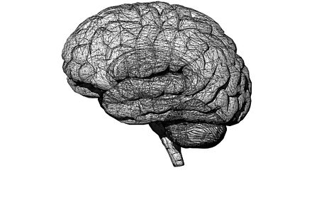 organoids, mini-brain models