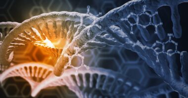 Dopamine Transporter Gene Mutation