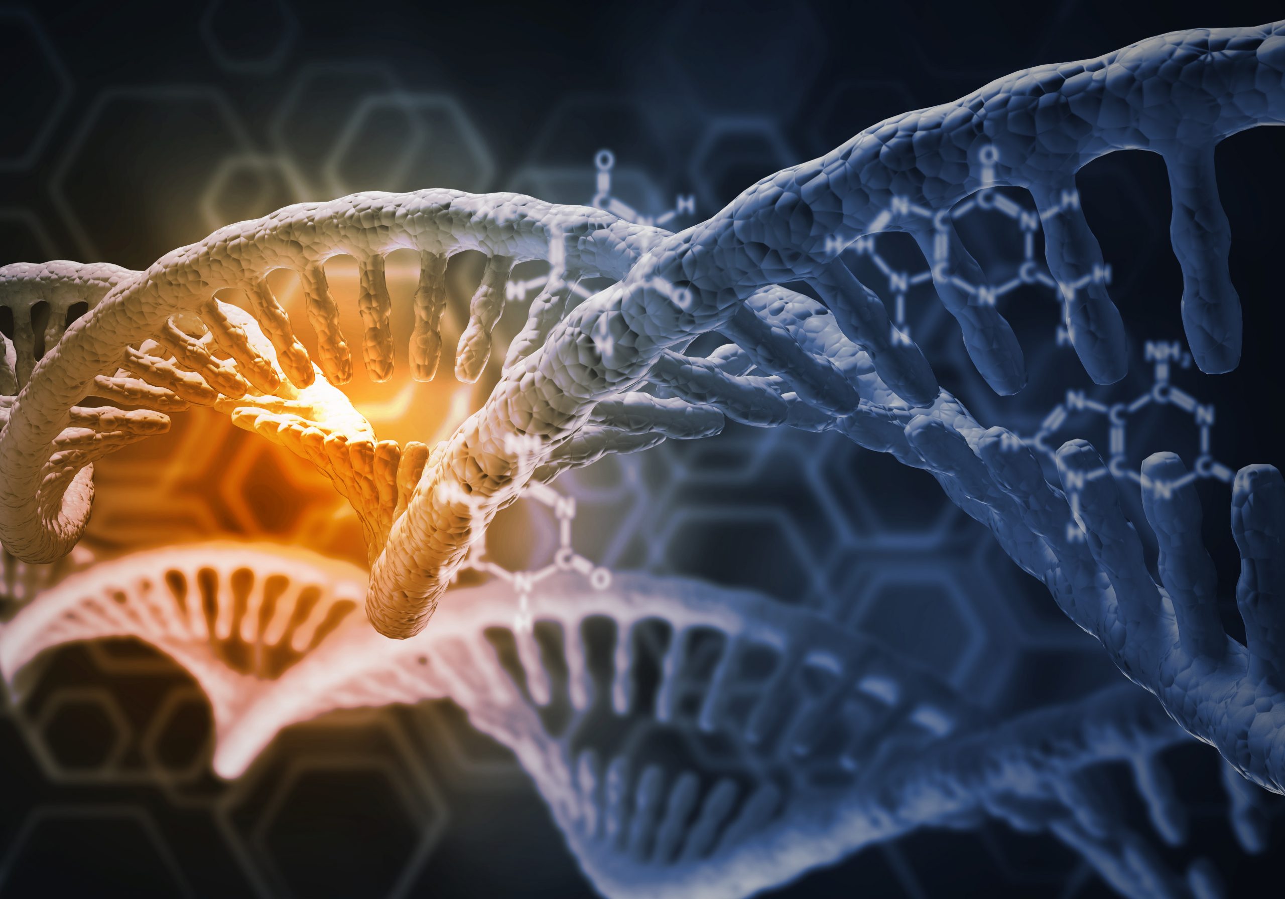 Dopamine Transporter Gene Mutation