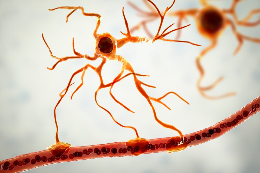 Supporting Brain Cells, Astrocytes Also May Contribute To Parkinson’s ...