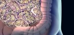 gut microbiota and disease