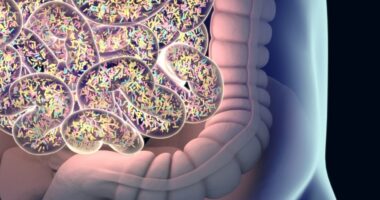 gut microbiota and disease