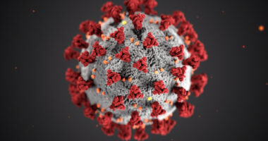 COVID-19-causing virus