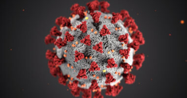 COVID-19-causing virus