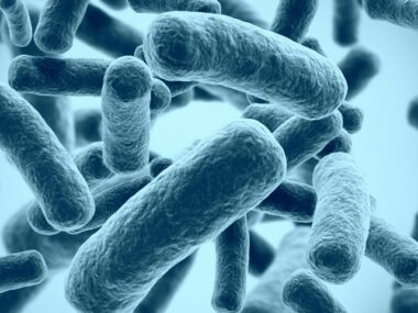 probiotics supplements