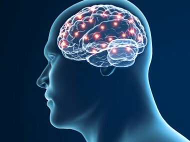 AI algorithm for brain stimulation devices | Parkinson's News Today | computer modeling of brain image