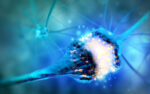 Parkinson's nerve cell synapses | Parkinson's News Today | nerve cells and communication