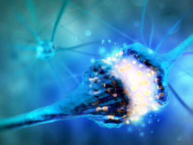 Parkinson's nerve cell synapses | Parkinson's News Today | nerve cells and communication