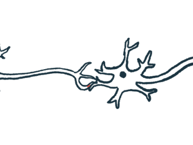 An illustration of nerve cells and their axons.