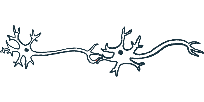 An illustration of nerve cells is shown.