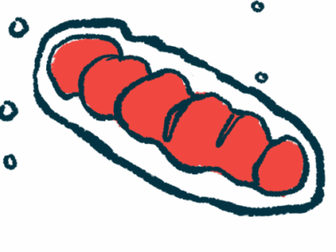 An image of mitochondria, a component of cells that supply the cell's with energy and are essential to cellular health.