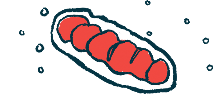mitochondria | Parkinson's News Today | MJFF grant supporting research | image of mitochondria