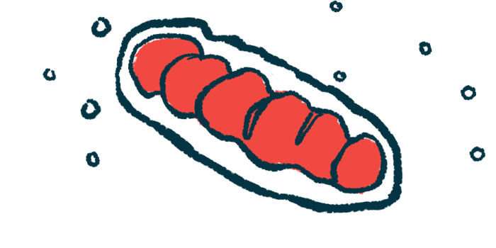 Transplanting mitochondria shows promise in lab models of Parkinson’s