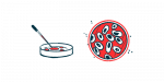 copper exposure | Parkinson's News Today | illustration of cells in petri dish