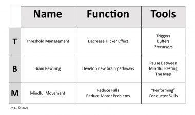 Parkinson's self-management | Parkinson's News Today | A chart depicting the function and tools of Dr. C's TBM practice. For threshold management, the function is to decrease the flicker effect, and the tools are triggers, buffers, and precursors. For brain rewiring, the function is to develop new brain pathways, and the tools are the pause between, mindful resting, and the map. For mindful movement, the function is to reduce falls and reduce motor problems, and the tools are "performing" and conductor skills.