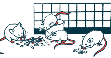 An illustration showing rodents sniffing various medications in a lab.