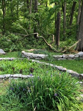 cultivating resilience | Parkinson's News Today | The aftermath of a storm in the same garden as the previous photo. A tree limb has fallen and the green plants and trees show signs of destruction