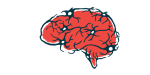 Ilustración del cerebro humano.