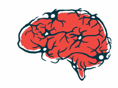 An illustration of the human brain.