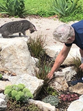 Parkinson's management | Parkinson's News Today | Dr. C works in his garden while Petie stands in the sand nearby to monitor his progress.
