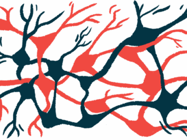 A collection of neurons, or nerve cells, is shown.