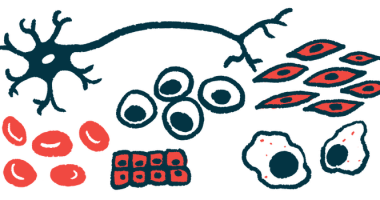 A number of types of cells, including stem cells, are shown.