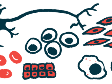 A number of types of cells, including stem cells, are shown.